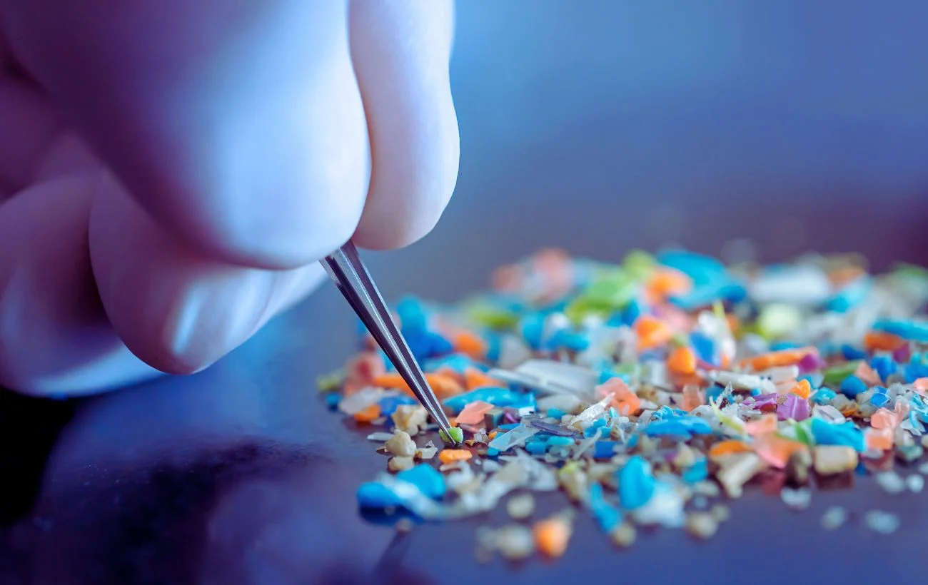 Le microplastiche viste da vicino